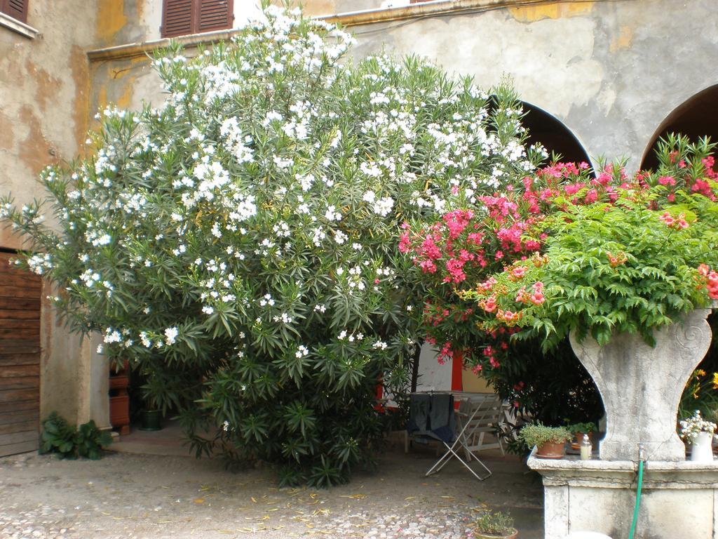 Corte Dall'Era Bed & Breakfast Brescia Eksteriør bilde